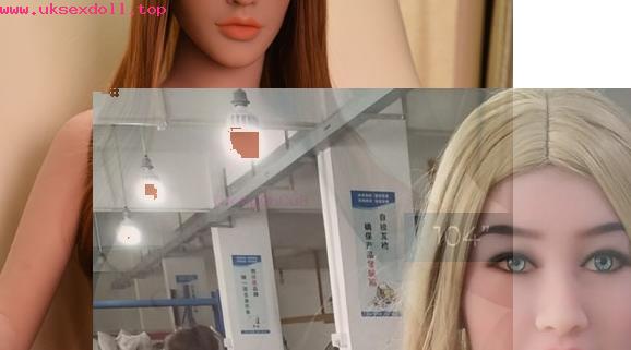 3d sex doll