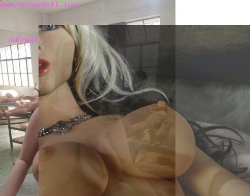 sex doll order